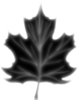 Leaf.png