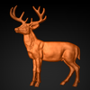Buck_37x43_1_front.png