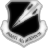 131st bomber_vectorized_DISP+.png