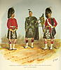 Click image for larger version. 

Name:	Argylls.jpg 
Views:	18 
Size:	70.0 KB 
ID:	71689