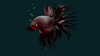 beta fish render.png