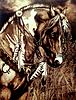 Click image for larger version. 

Name:	Indian Horse.jpg 
Views:	64 
Size:	265.5 KB 
ID:	55920