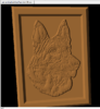 german-shepherd-dog-Face view 28-cw-.png